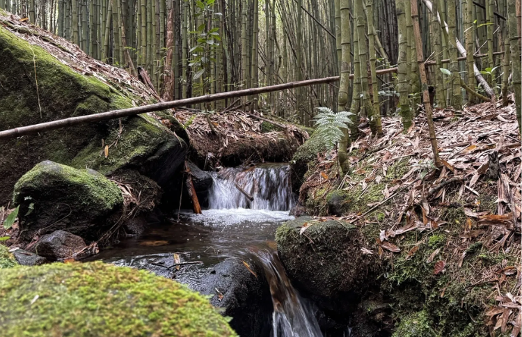 Pico do Glória - Gruta do Presidente - Poço do Véu da Noiva