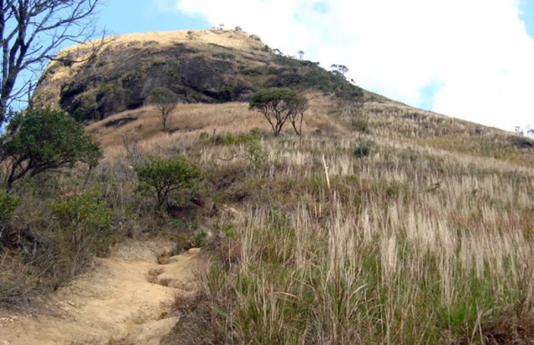 Cobiçado - Ventania