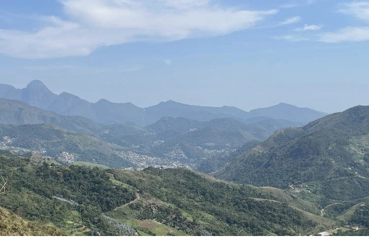 Cobiçado - Ventania