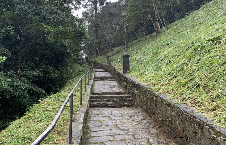 Design sem nome (27)