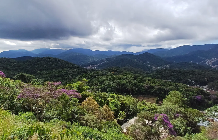 Design sem nome (29)