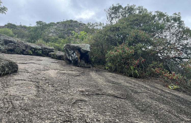 Morro do Pontal de Sernambetiba
